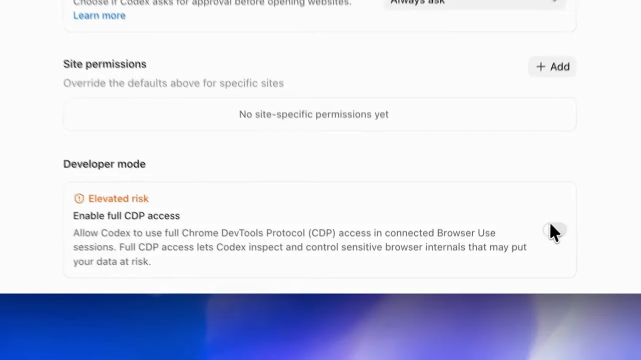 A developer setting includes a visible elevated-risk warning.