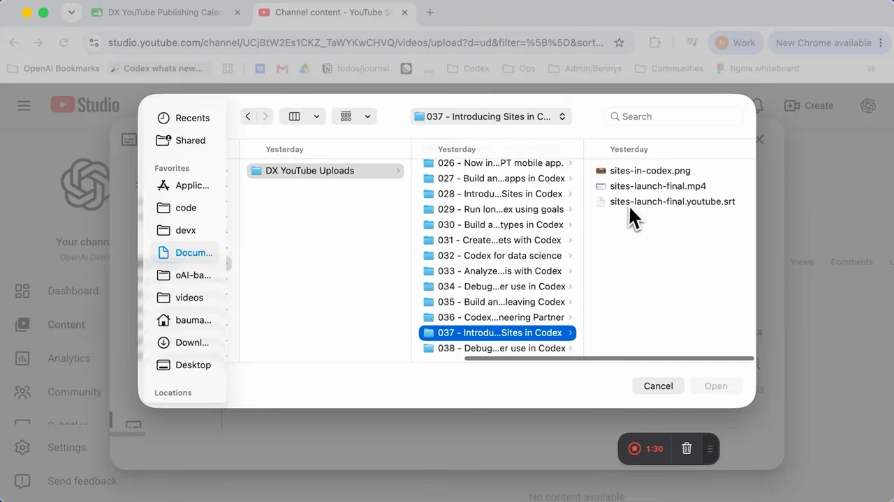 Subtitle controls open a native file picker.