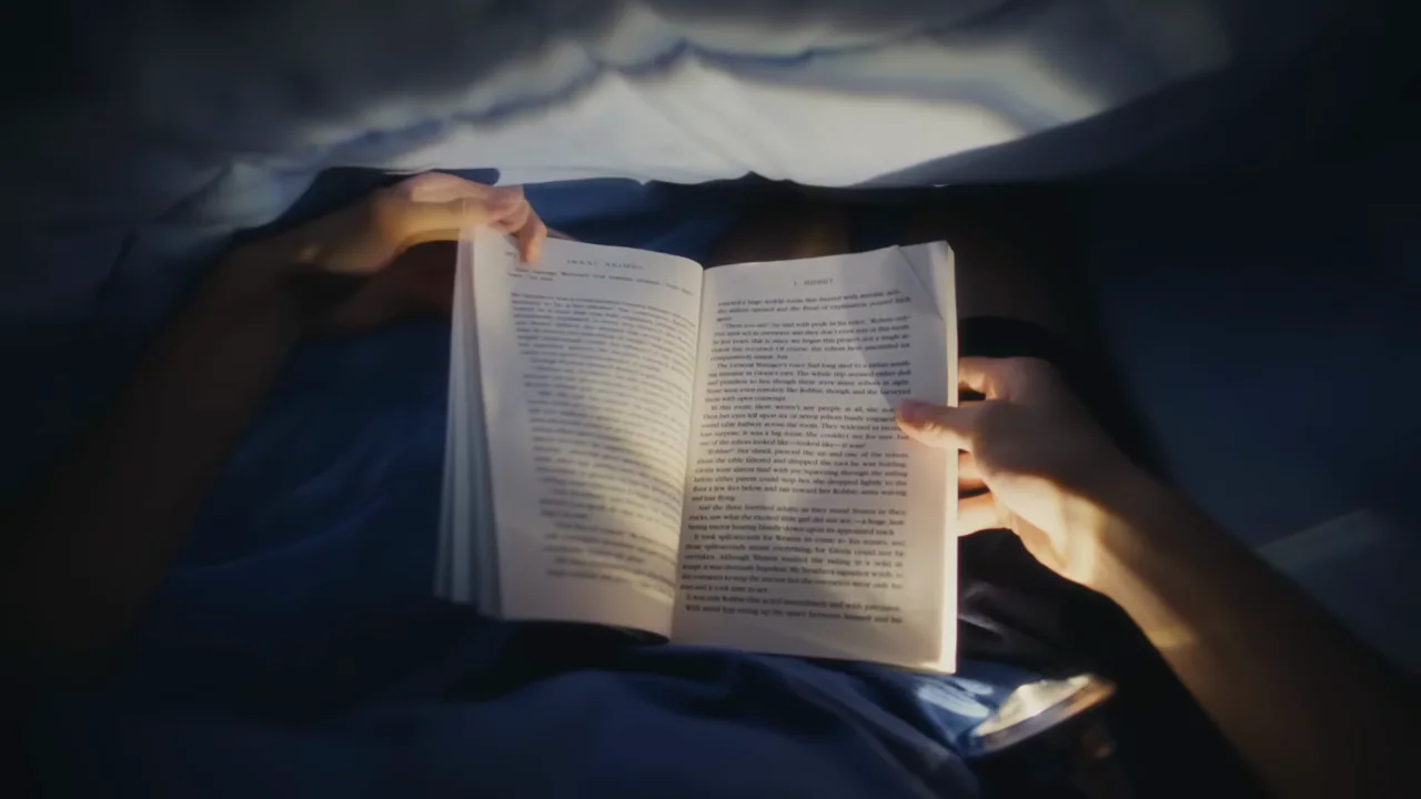 Outdoor observation, a handmade object, and a book appear in close first-person views.