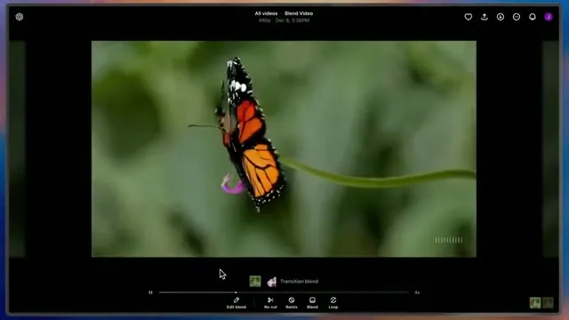Whole window established