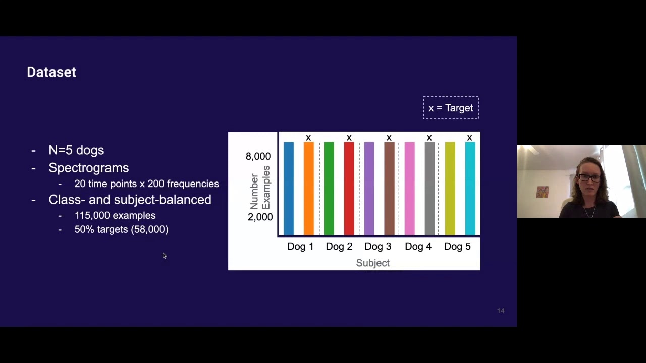 Towards Epileptic Seizure Prediction with Deep Network | Kata Slama | OpenAI Scholars Demo Day 2020 — original channel thumbnail