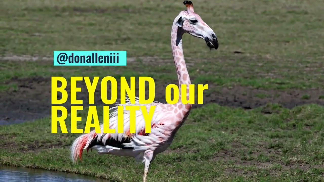Beyond Our Reality · Made by Don Allen Stevenson with Sora — original channel thumbnail