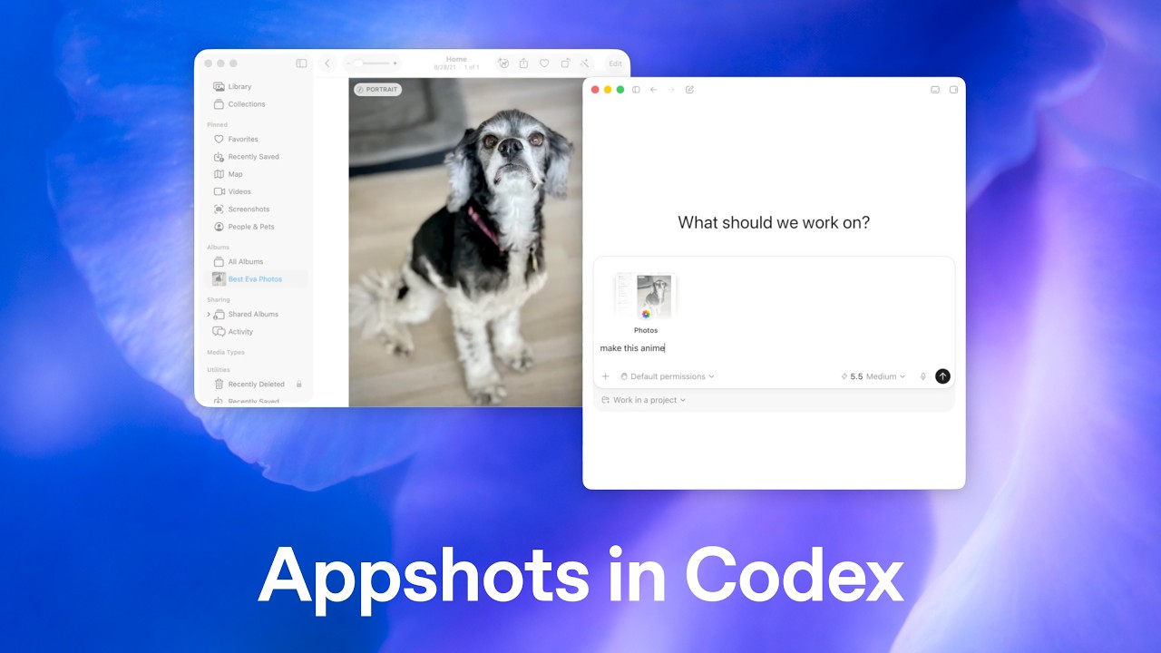Introducing Appshots in Codex — original channel thumbnail