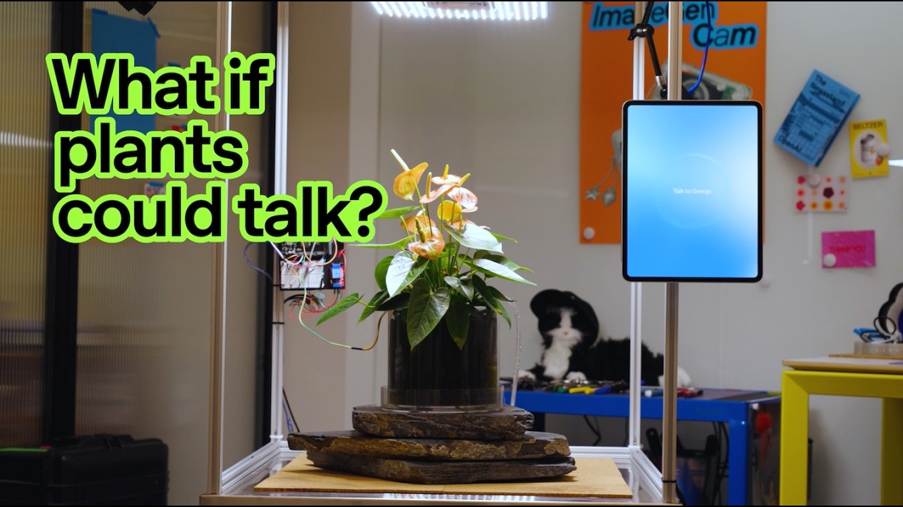 What if plants could talk? — original channel thumbnail